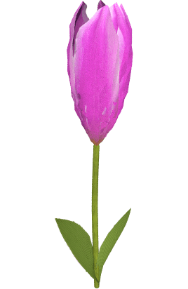 Tulipan Purpurowy - wysokość 50cm